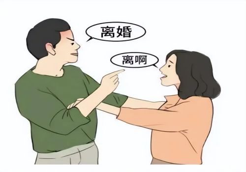 合肥調(diào)查取證：兩個男孩子媽媽全職媽媽離婚怎么判決